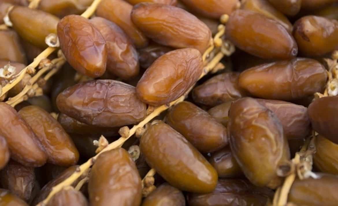 تراجع عائدات تصدير التمور التونسية بـ4.4% حتى ماي 2025