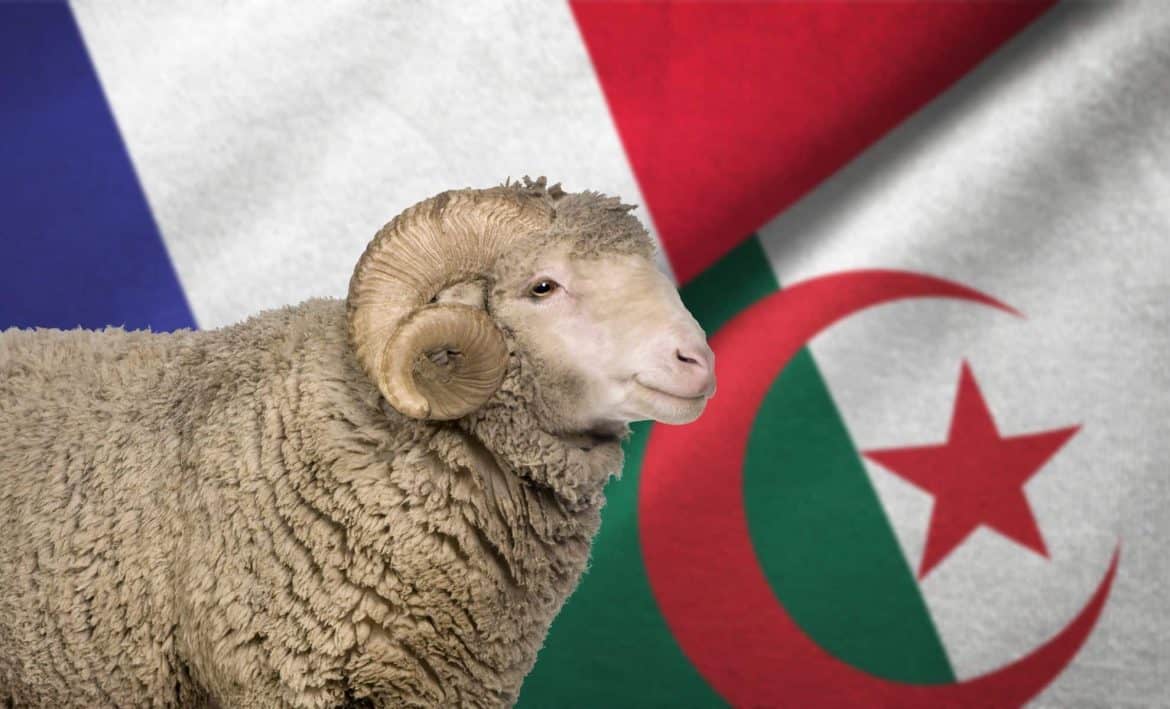 تونس: يومان عطلة رسمية بمناسبة عيد الأضحى 2025