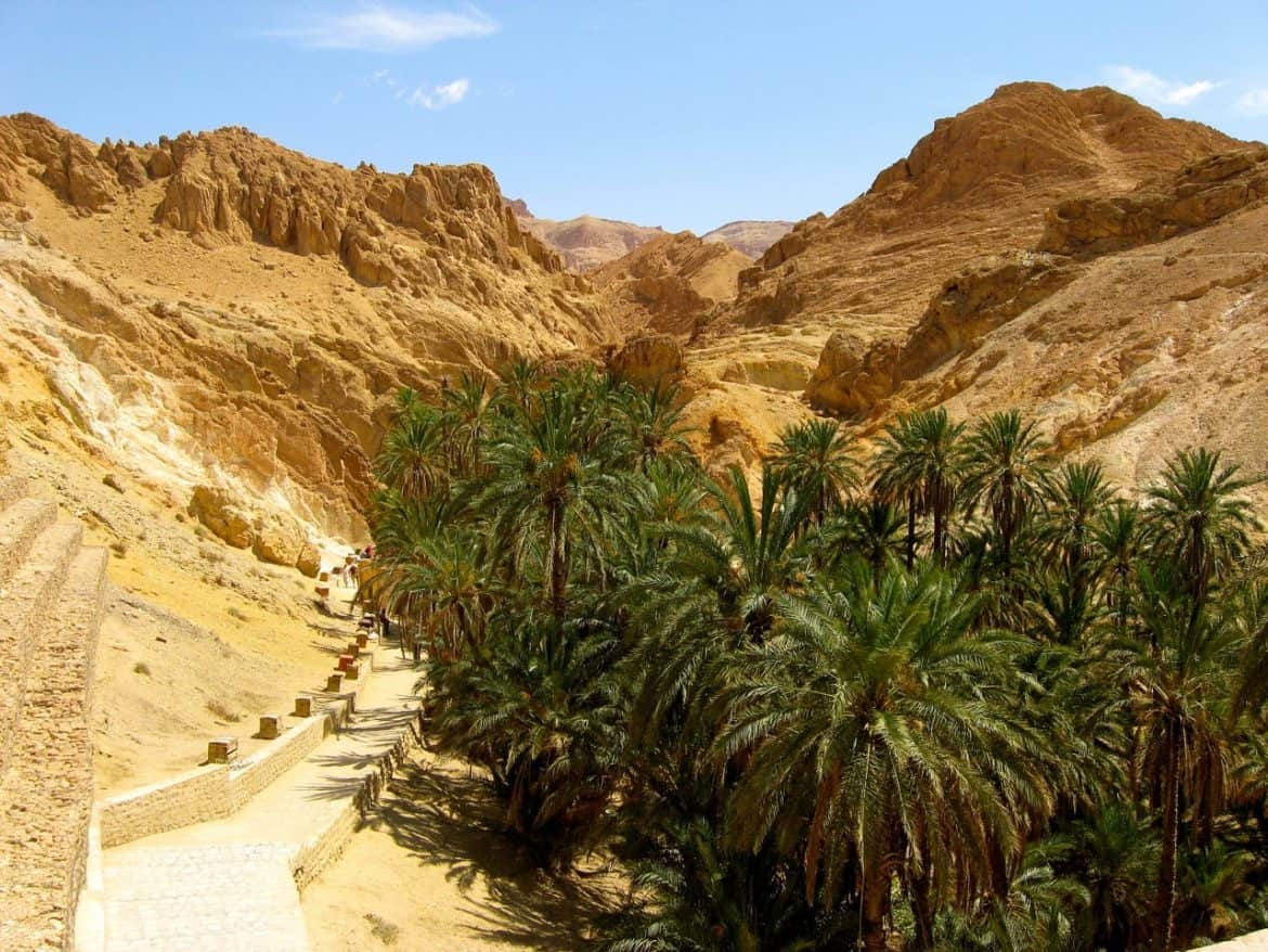 طقس الخميس 17 يوليو 2025: أمطار رعدية ورياح قوية