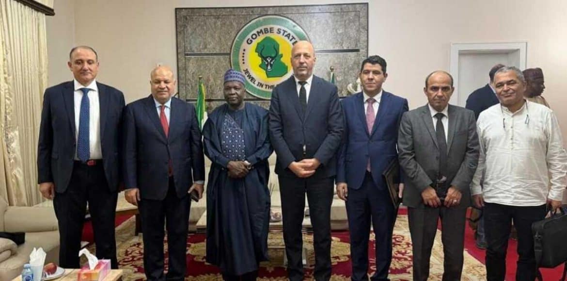 اتفاق تونسي-نيجيري لتطوير البنية التحتية في ولاية غومبي