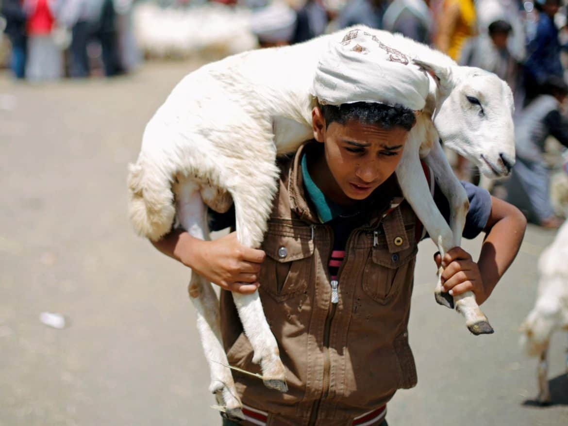 إجراءات تونس لضبط أسعار الأضاحي قبل العيد