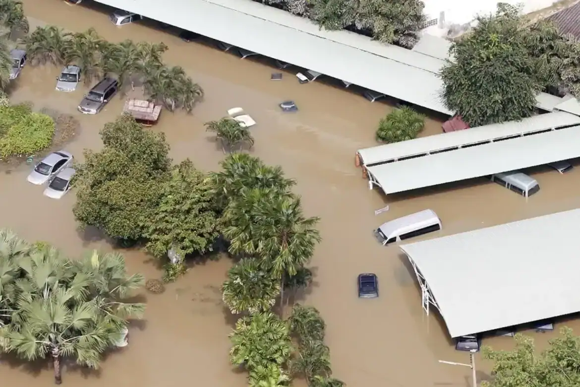 فيضانات تايلاند الجنوبية: 145 قتيلاً وتراجع المياه