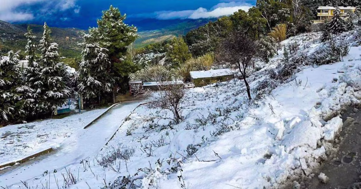 ثلوج في غرب تونس وشرق الجزائر: توقعات برد قارس