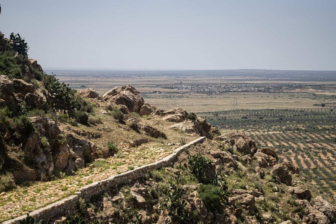 طقس تونس الجمعة 12 ديسمبر: 16-20 درجة وضباب